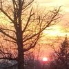 cindi_stettler